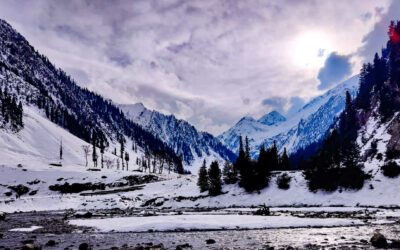 Finding home in Kashmir: Part 1